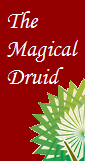 The Magical Druid